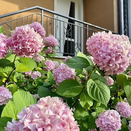 Cà Framari - Apartamento Marciaga